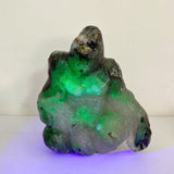 Unique Volcano Agate King Kong Ape Carving 6 -Wholesale Crystals