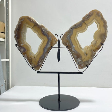 Very Large Beautiful Geode Druzy Sakura Flower Agate Butterfly Wing Carving With Stand 3 (Sea Freight Only) -Wholesale Crystals