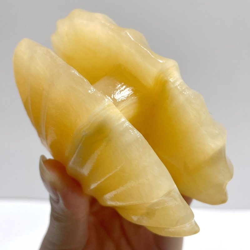 Yellow Calcite Shell Carving Wholesale - Wholesale Crystals