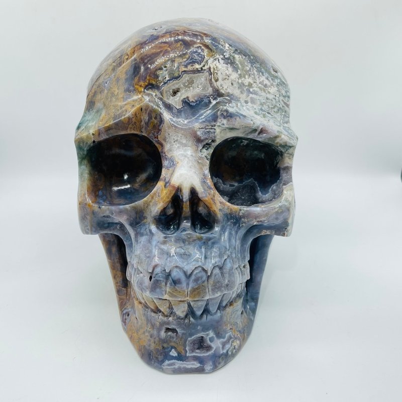 11.77kg(25.8lbs) Unique Large Ocean Jasper Geode Skull -Wholesale Crystals