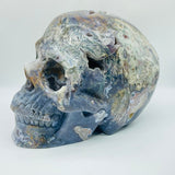 11.77kg(25.8lbs) Unique Large Ocean Jasper Geode Skull -Wholesale Crystals