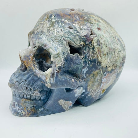 11.77kg(25.8lbs) Unique Large Ocean Jasper Geode Skull -Wholesale Crystals