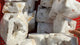 Druzy Quartz Geode Tower Point Wholesale -Wholesale Crystals