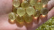 Mini Citrine Sphere Ball 0.5in(1.3cm) Wholesale -Wholesale Crystals