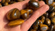 Yellow Tiger Eye Tumbled Wholesale -Wholesale Crystals