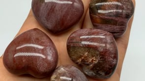 Natural Petrified Wood Heart Wholesale -Wholesale Crystals