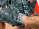 Moss Agate Rabbit Carving Wholesale -Wholesale Crystals