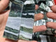 Stripe Moss Agate Mixed Quartz Four-Sided Tower Point Wholesale -Wholesale Crystals