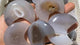 Natural Geode Agate Crystal Moon Wholesale -Wholesale Crystals