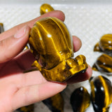 16 Pieces High Quality Tiger Eye Snails Carving -Wholesale Crystals