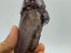 A48 Super7 Amethyst Enhydro Skeletal Crystal -Wholesale Crystals