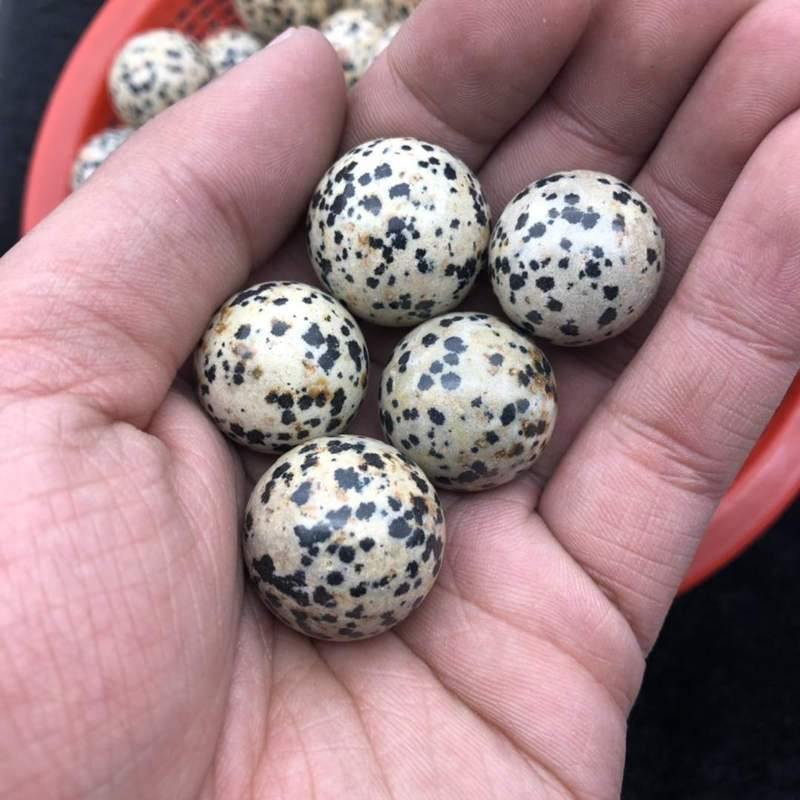 natural dalmatian jasper quartz sphere -Wholesale Crystals