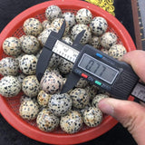 natural dalmatian jasper quartz sphere -Wholesale Crystals