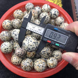 natural dalmatian jasper quartz sphere -Wholesale Crystals