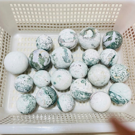 21 Pieces White Moss Agate Spheres -Wholesale Crystals