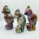 3 Pieces Large Ocean Jasper Parrot Carving -Wholesale Crystals