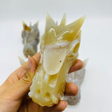 5 Pieces Beautiful Geode Agate Dragon Head Carving -Wholesale Crystals