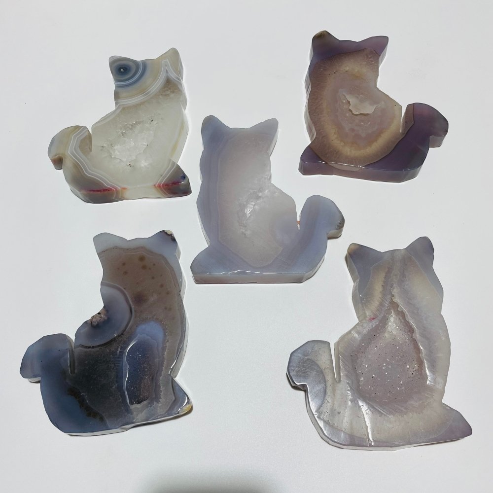 5 Pieces Geode Agate Druzy Cat Closeout -Wholesale Crystals