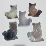 5 Pieces Geode Agate Druzy Cat Closeout -Wholesale Crystals