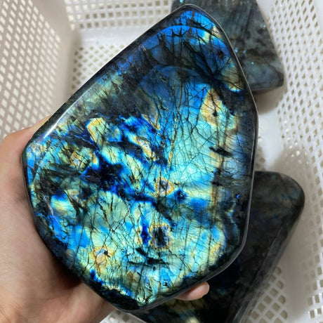 5 Pieces Large Labradorite Free Form -Wholesale Crystals