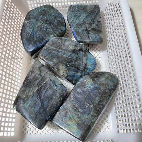 5 Pieces Large Labradorite Free Form -Wholesale Crystals