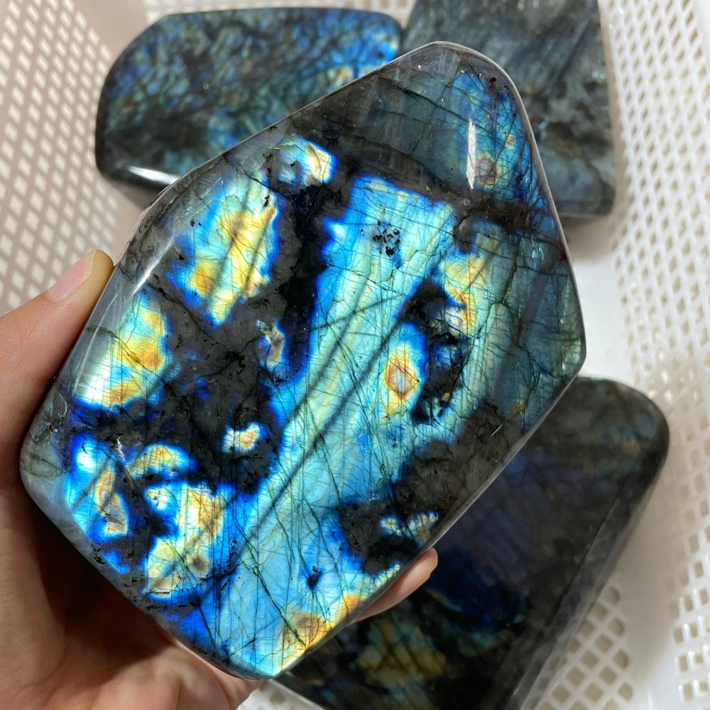 5 Pieces Large Labradorite Free Form -Wholesale Crystals
