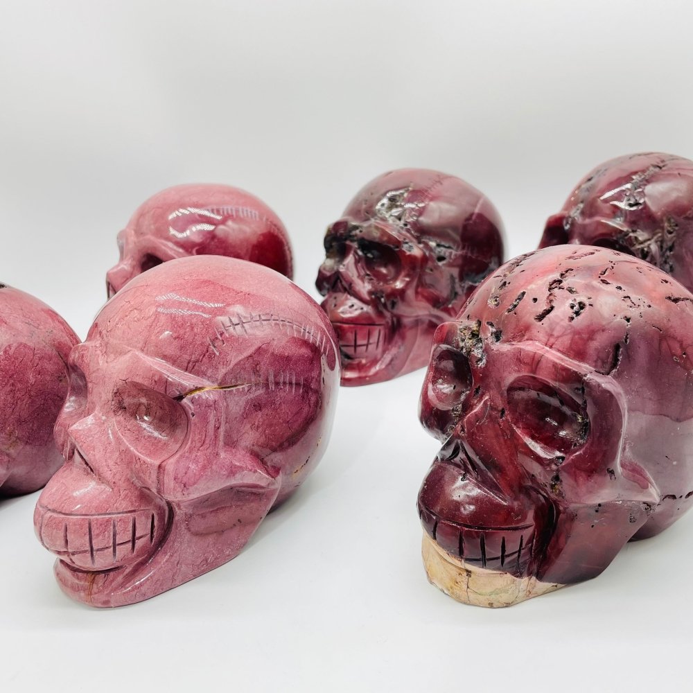 6 Pieces Large Petrified Wood Skull Carving -Wholesale Crystals