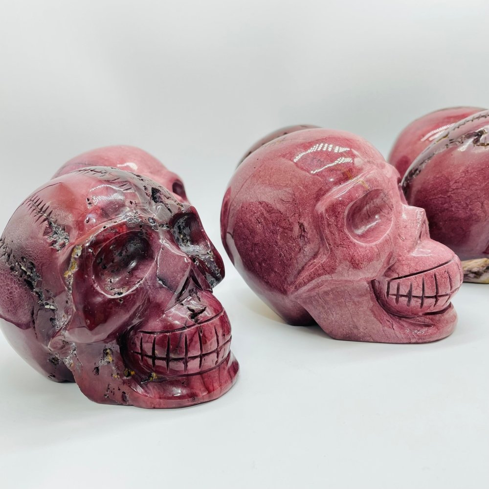 6 Pieces Large Petrified Wood Skull Carving -Wholesale Crystals