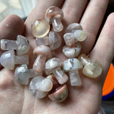 10 Types Mini Crystal Mushroom -Wholesale Crystals