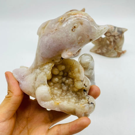 5 Pieces Sakura Flower Agate Geode Dolphin Carving -Wholesale Crystals