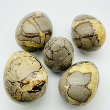 Septarium Egg Wholesale -Wholesale Crystals